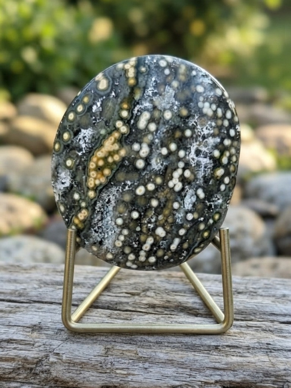 Beautiful Orby Ocean Jasper Palm Stone|Sparkling Quartz Vugs & Multicolor Orbs✨️